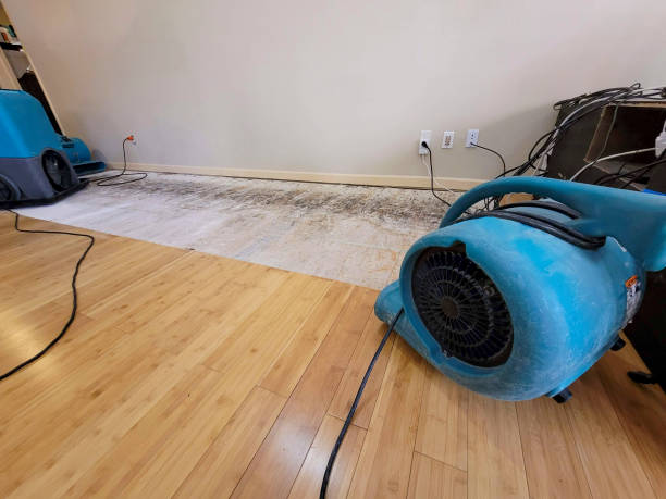 Professional Basement Flood Cleanup technician working in Lakeview, WA